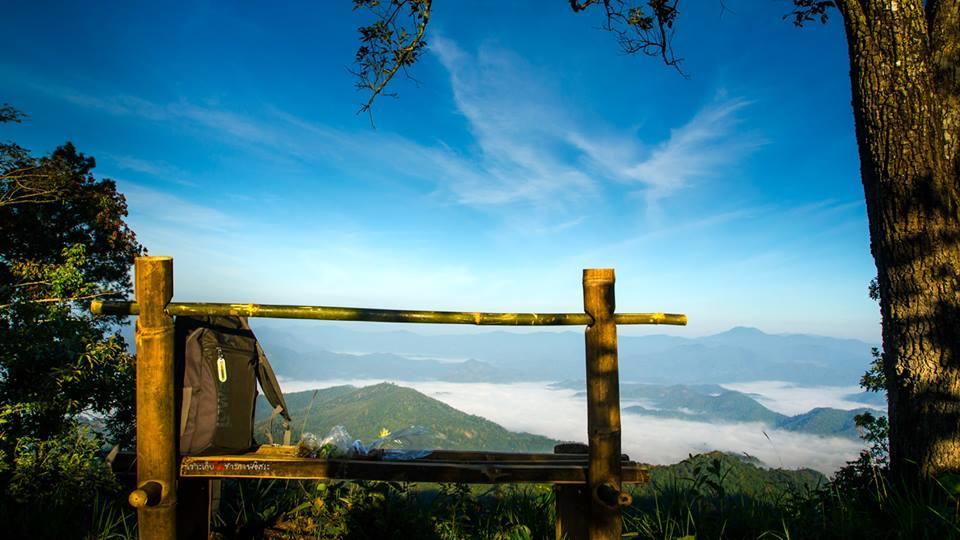 Phu Mork Dao Resort Pong Yaeng Dış mekan fotoğraf