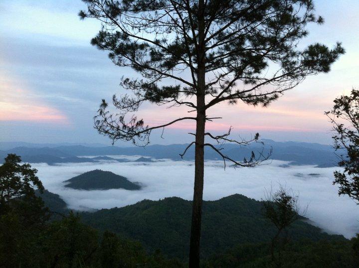 Phu Mork Dao Resort Pong Yaeng Dış mekan fotoğraf